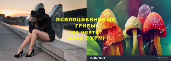 эйфоретик Волоколамск