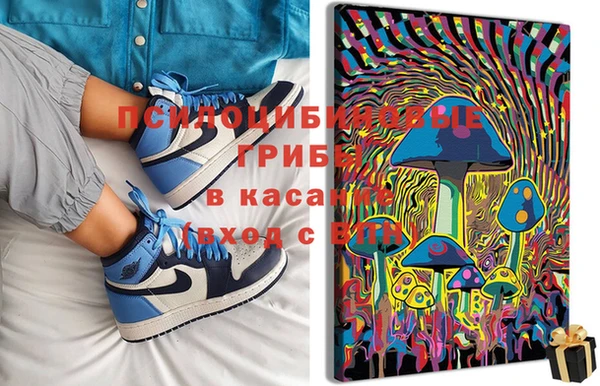 PSILOCYBIN Волосово