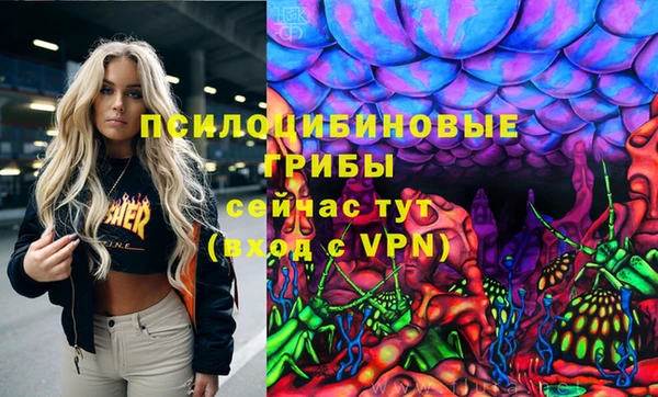 ГАЛЛЮЦИНОГЕННЫЕ ГРИБЫ Володарск